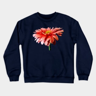 Pink Gerbera Daisy Side View Crewneck Sweatshirt